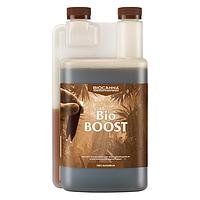 BIOCANNA Bio BOOST
