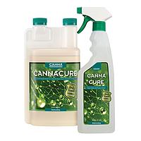 CANNACURE